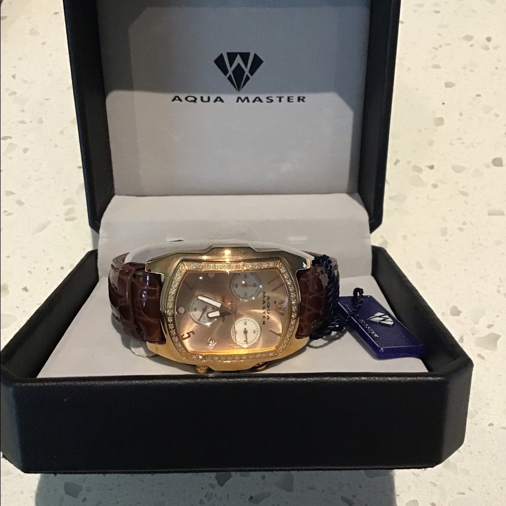 Aqua Master Watch